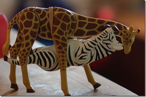 giraffe-zebra-sex